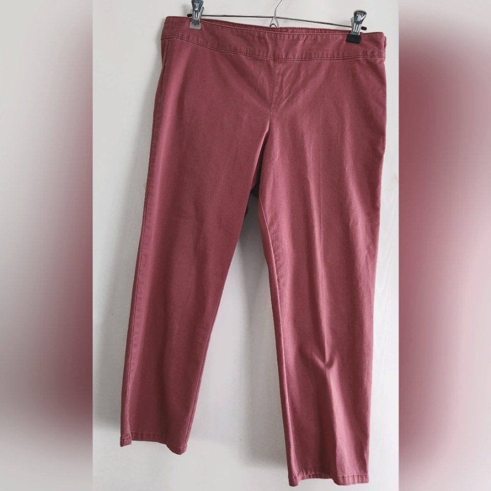 Talbots Modern Mauve Slim Ankle Pants With Side Zipper Size 8P